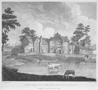 View of the Pest-Houses at Tothill Fields engraved by Charles Pye, 1796 by Edward Dayes